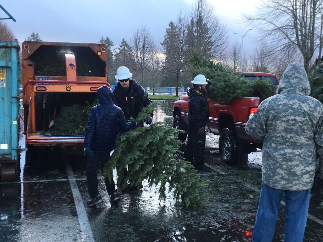 Boy Scouts are trained to "leave no trace" after their treks into the wilderness. The chipper left nearly no trace of these former Christmas trees.